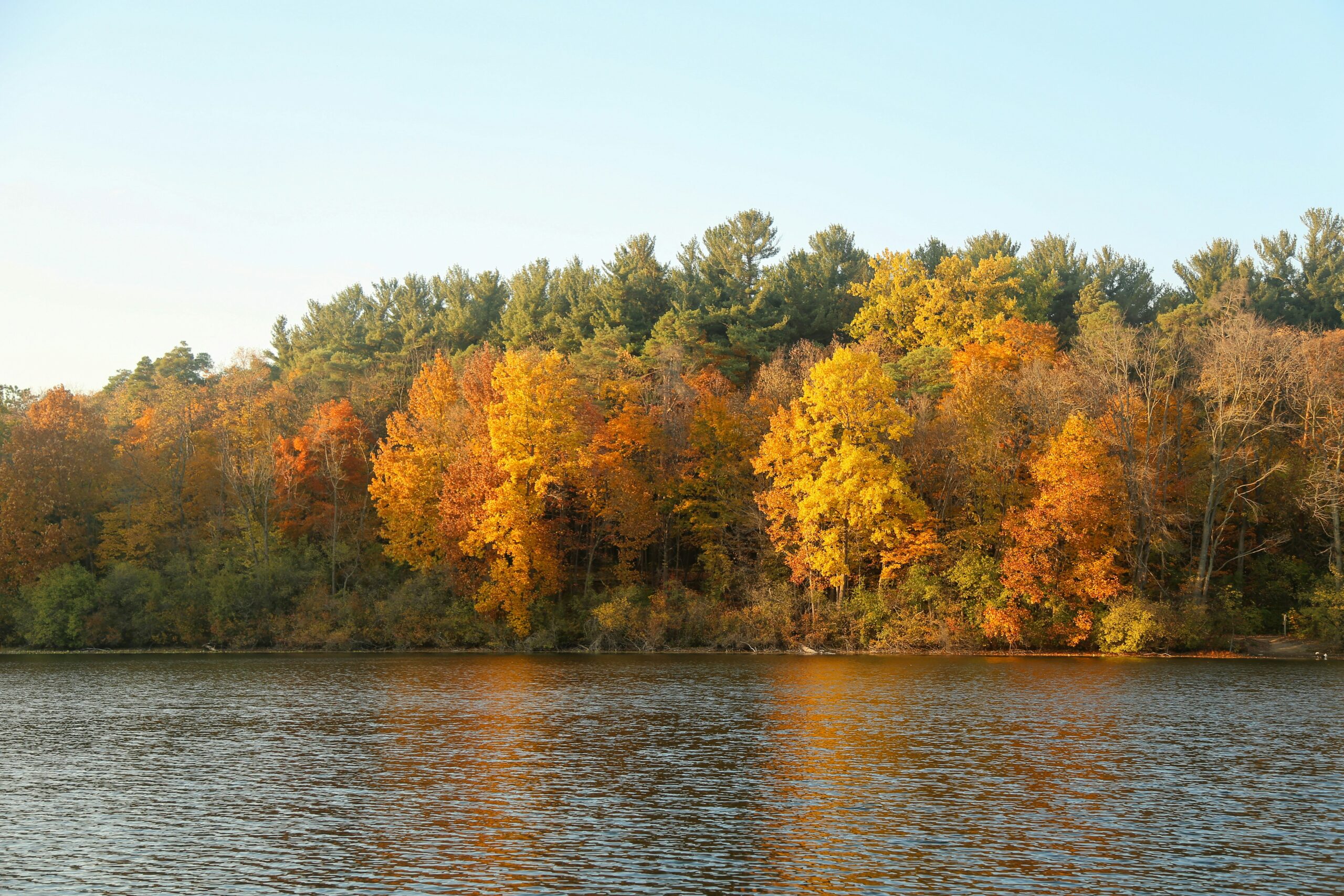 Ann Arbor Huron River financial planner